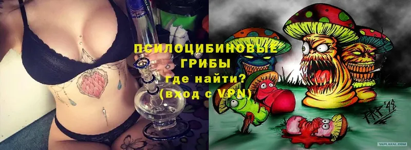 Псилоцибиновые грибы Cubensis  Венёв 